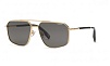 L77 300P Polarized CHOPARD с/з Солнцезащитные очки