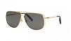 G91M 300P Polarized CHOPARD с/з